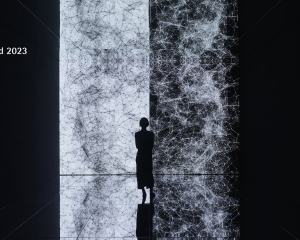 Image 1   Kia Red Dot Win 'Opposites United' exhibition